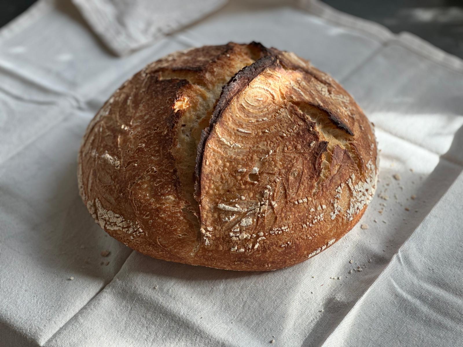 Gluten Glory sourdough bread crumb